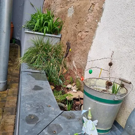 Haus Ziegenblick 펜션