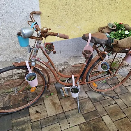 Haus Ziegenblick Hébergement de vacances Herbolzheim