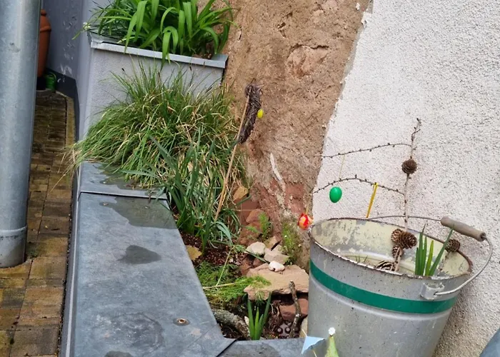 Haus Ziegenblick Дом отдыха