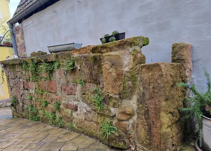 Haus Ziegenblick * Хербольцхайм